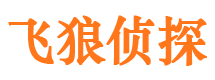 乌海市私家侦探